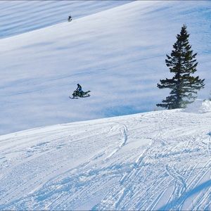 Meet your Posher, Punkin